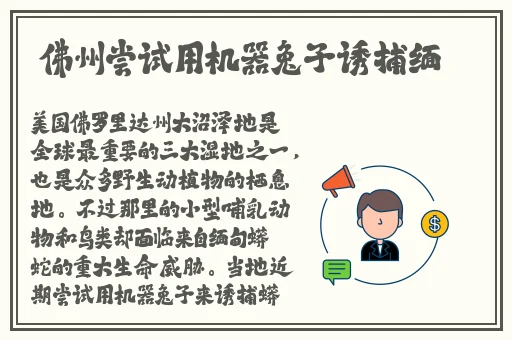 一二三四日本中文视频